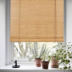 Premium Bamboo Blinds by Hasa Blinds